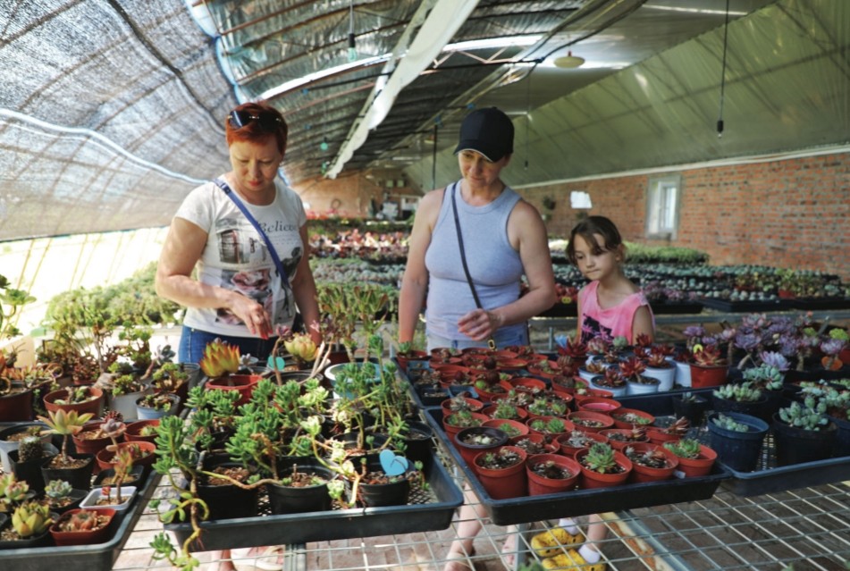 俄罗斯游客在近海街道图鲁村花卉基地参观